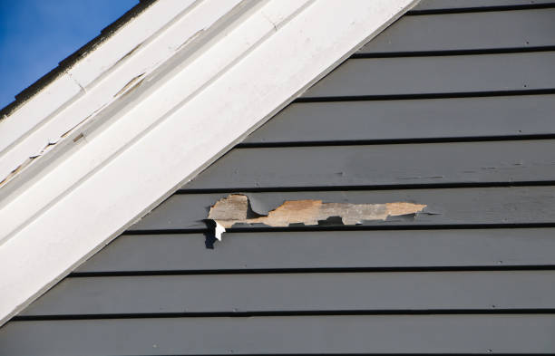 Best Vinyl Siding Installation  in Powhatan Point, OH